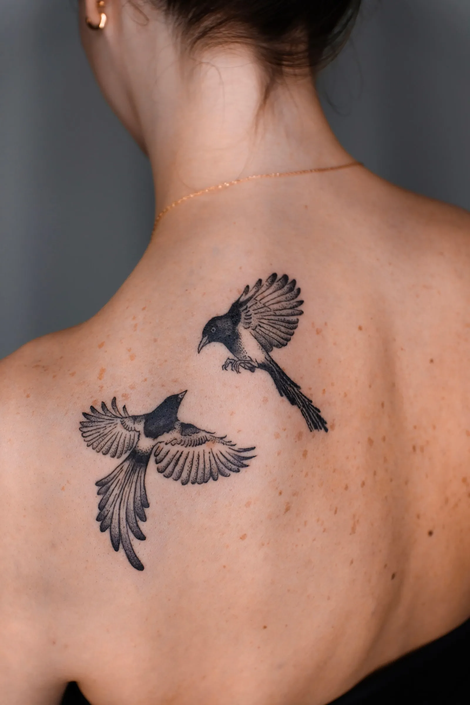 Finished upper-back tattoo of two black-and-gray magpies flying toward one another