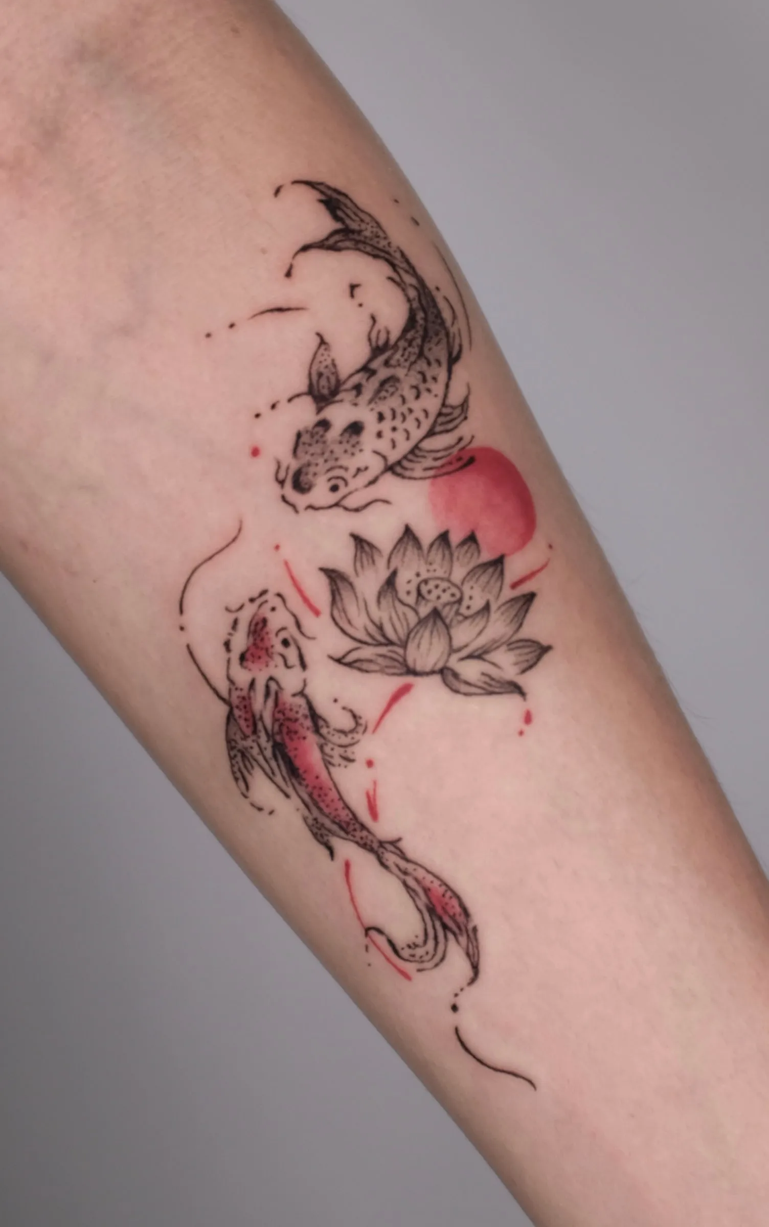 Finished upper-arm tattoo of two koi circling a lotus beside a soft red sun