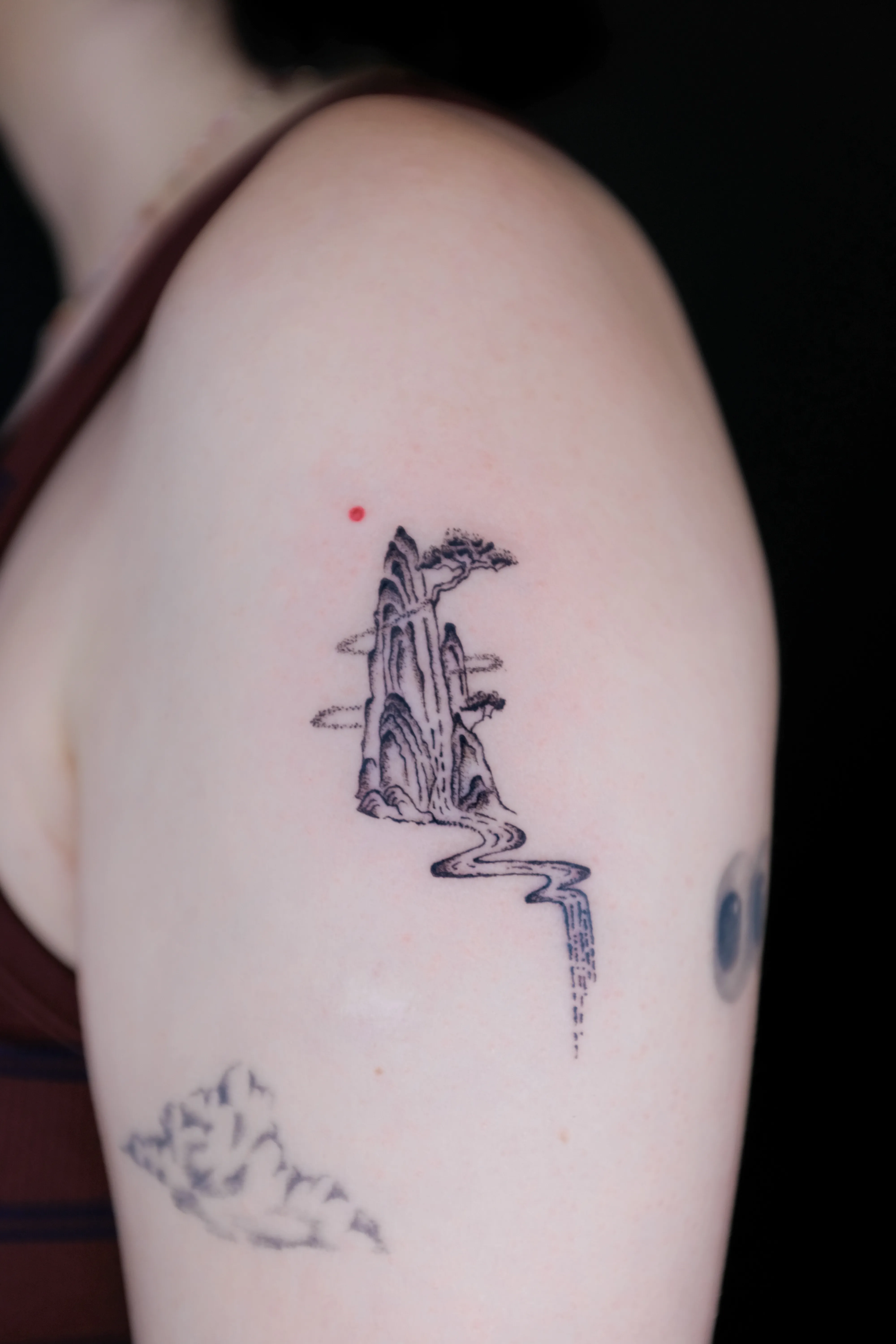 Finished shoulder tattoo of a tall mountain waterfall pine trees mist and a winding river