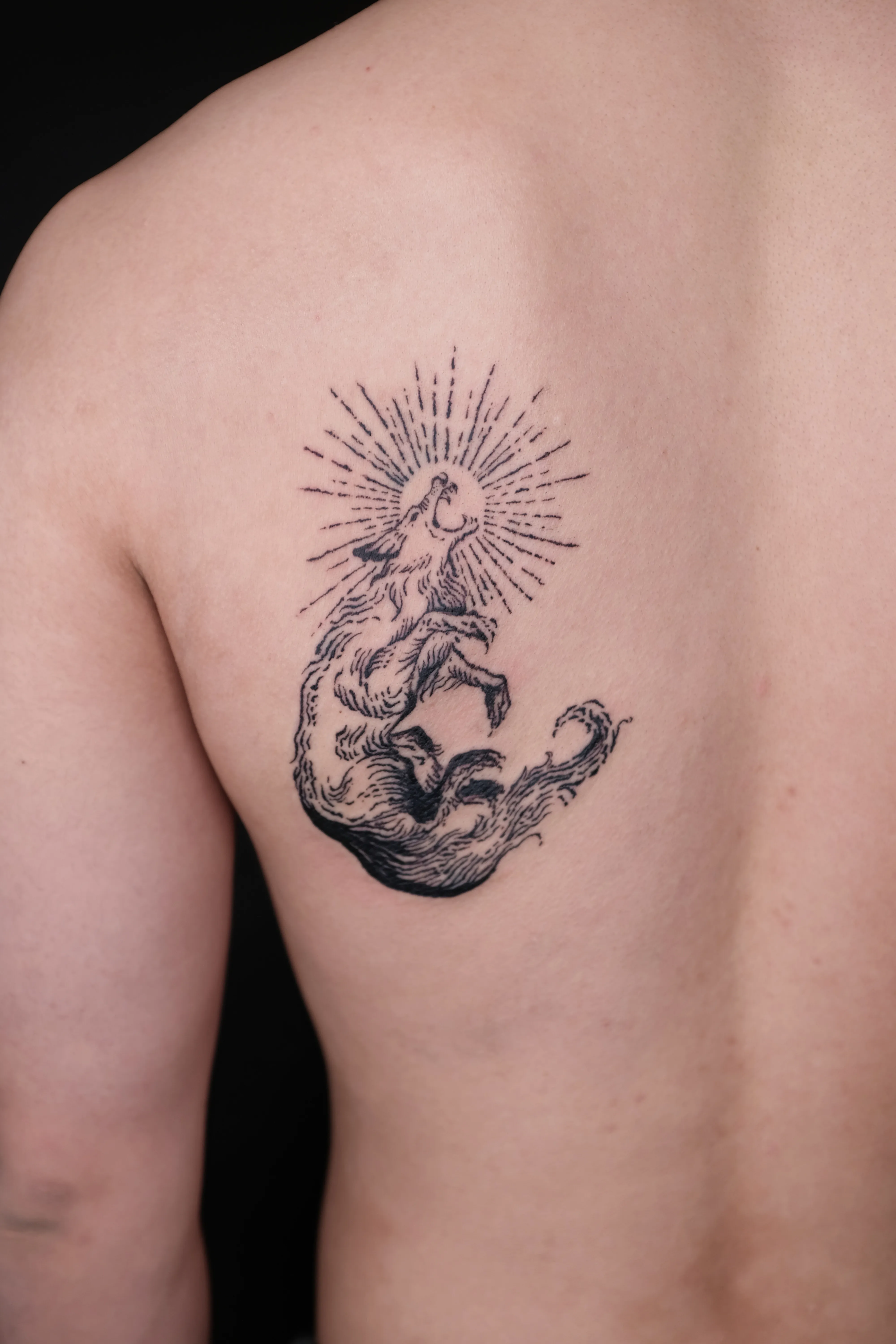 Finished shoulder-blade tattoo of a horse rising from a curling wave beneath radiating lines