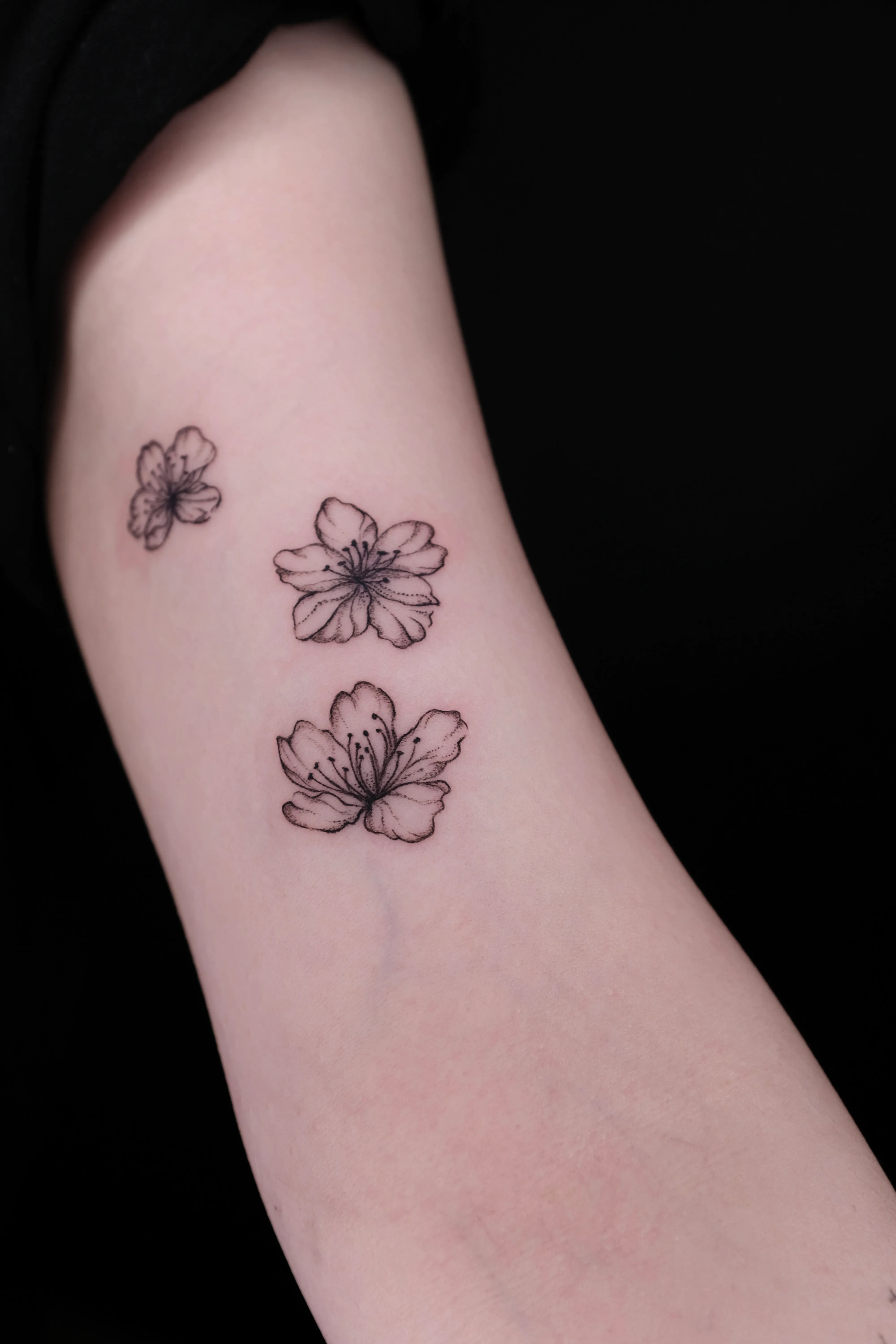 Finished arm tattoo of three small five-petal blossoms drawn with delicate black lines