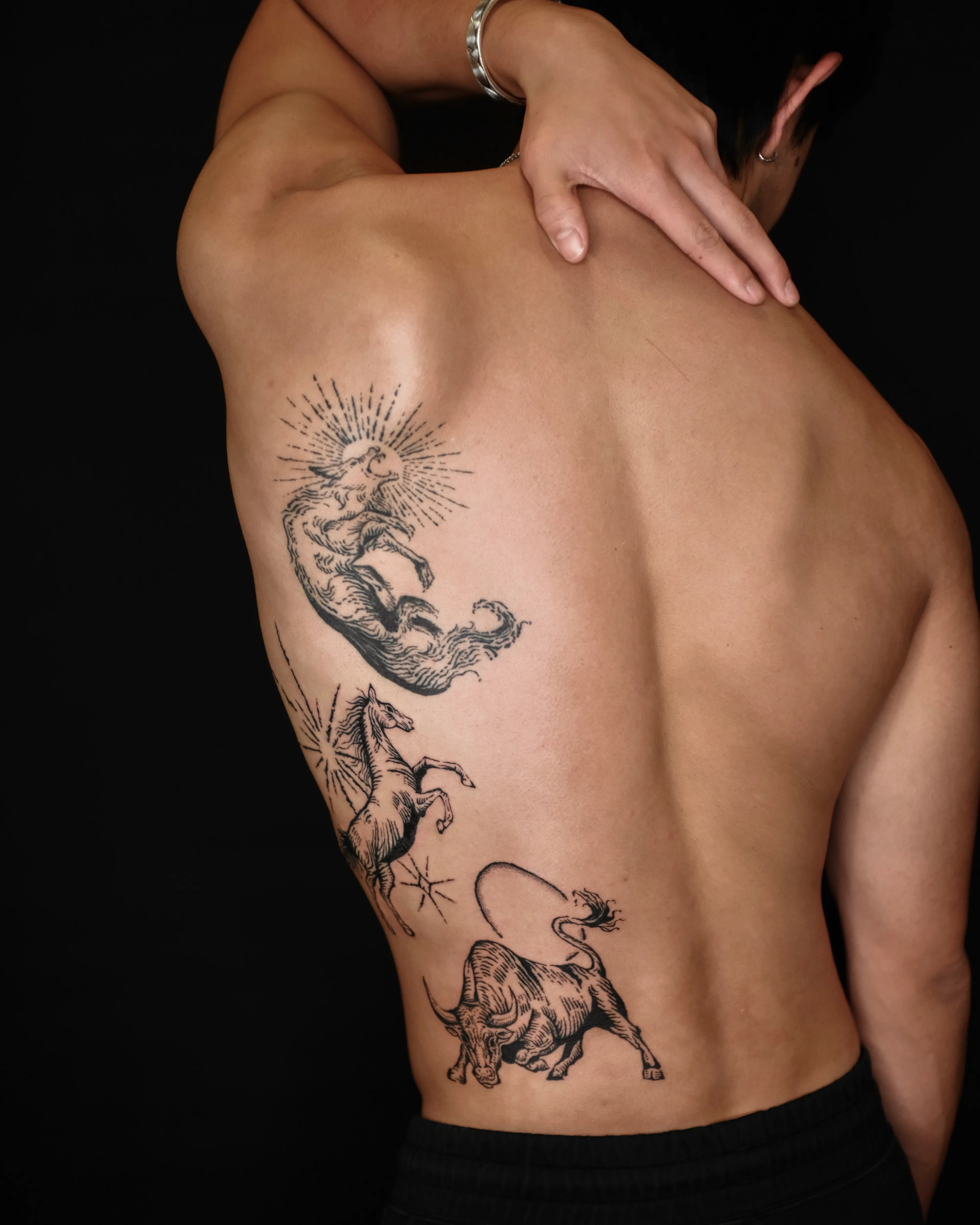Finished back tattoo featuring a horse scorpion bull and another horse with radiant linework